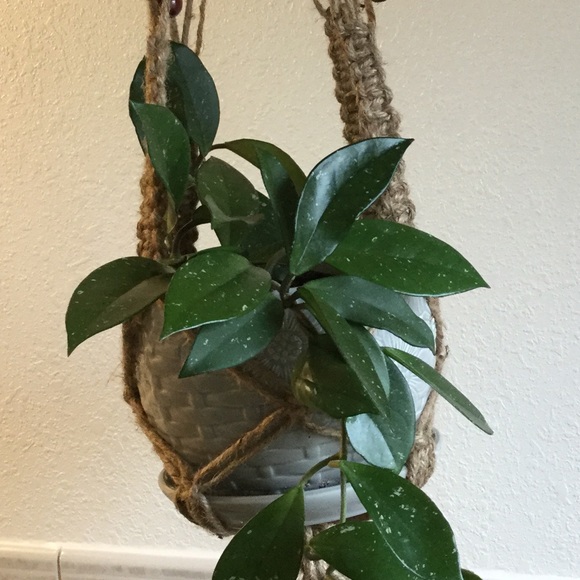 Meet your Posher, Katlin - Picture 1 of 1